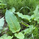 산중문답 이미지