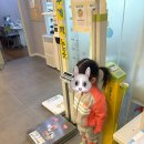 자연한의원 | [오산함소아] 어린이집 견학체험 후기