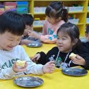 세인교육 Daum카페