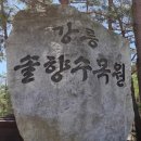 강릉솔향도시락 이미지