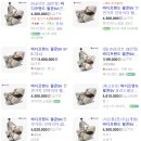 영도점하이마트 이미지