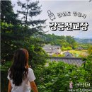 수목다실 | 강릉역 근처 놀거리 강릉 놀러갈만한곳 선교장