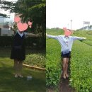 에이치11