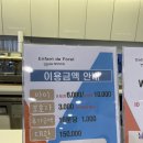 다산 베이비카페 ‘앙팡드포레‘ 방문 후기