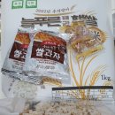 늘푸른태권도 이미지