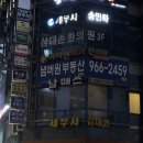나무 아이래쉬 네이버블로그