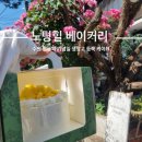 수원 행궁 기념일 생망고 홀케이크 맞춘 후기 내돈내산 노팅힐 베이커리 카페