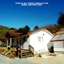 청학펜션 Daum카페