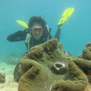 힐포인트 이미지