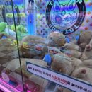 키치캐치 이미지