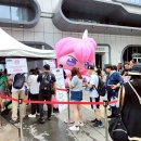 주식회사 스타투어 이미지