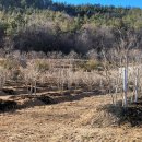 산유화농장 이미지