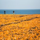 성산목장 이미지