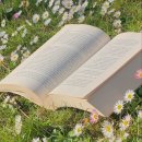 선한종합상사 | 시고 달고 기쁘고 슬픈 그 사랑의 낱낱을 빠짐없이 누린 끝에│25년 1월 독서기록