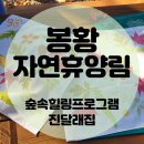 계명산자연휴양림 공용주차장 | 봉황자연휴양림 : 신축 진달래집(8인) 바베큐가능 : 숲속힐링프로그램