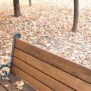 등촌근린공원 이미지