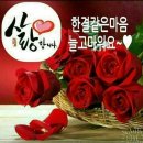 화요일 이미지