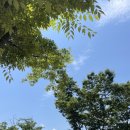 문수힐링피크닉장 이미지