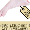 한진축산 이미지