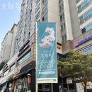 이문27 | 이문동꽃집 오화원 이문점 가격 위치 영업시간