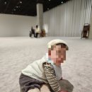 수원시립아이파크미술관(2층) | 행궁동 가볼만한곳｜아기랑 가기 좋은 수원시립미술관 후기 (운영시간·입장료·전시정보)