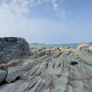 송지호해변(서낭바위) 이미지