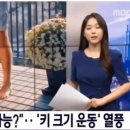 성인도 남자도 가능하다는 키 크는 운동 .gif 이미지