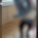 의자 던지고 발길질‥초등생이 30분간 교사 폭행 이미지