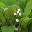 충청농장 이미지