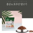 강아지 지니 이미지