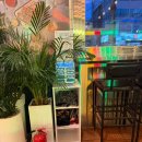 이마트24 구의강변점 | [구의/타코] 구의역 점심 맛집 더타코부스 구의광장점, 타코의 데낄라 한잔