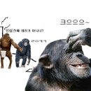 참이슬식당 이미지