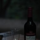 [12번째 여행스케치] 부산 기장 운동골수목원 캠핑장