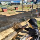 양우농장 이미지