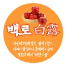 백로(白露), 벼가 여물어가는 분기점 이미지