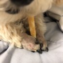 88개발소 이미지