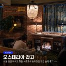 잠실 데이트 코스 핫플 석촌호수 송리단길 맛집 오스테리아 라고 솔직 후기