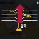 탈모야안녕 이미지