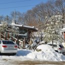 강원산림원 이미지