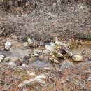 상산목장 이미지