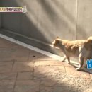 승환농장 이미지