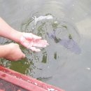 지동낚시터 이미지