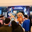 주식회사 신비로운숲 이미지