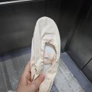 이화학원 | 천안 발레, 성인 취미 발레, 이화에뚜왈발레 학원 후기, 발레가 좋은 이유