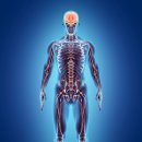 필마취통증의학과의원 이미지