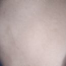 해운대 케이 동물병원 이미지