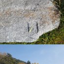 한재골카페드림