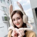 1077 이미지