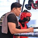 팀베어스복싱짐 이미지