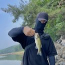 세븐일레븐 안성고삼카페점 | [안산 고삼지] - 6월 배스 낚시